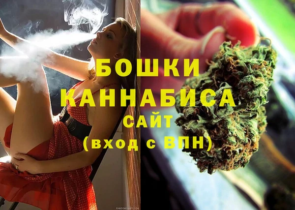 PSILOCYBIN Беломорск